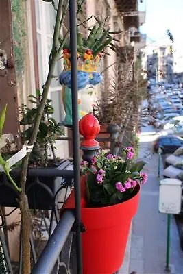 Green House Apartment Al Massimo Palermo